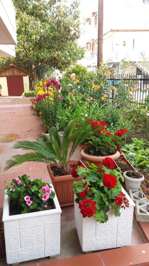 לפטוקריה Sea View Apartments Aphrodite מראה חיצוני תמונה